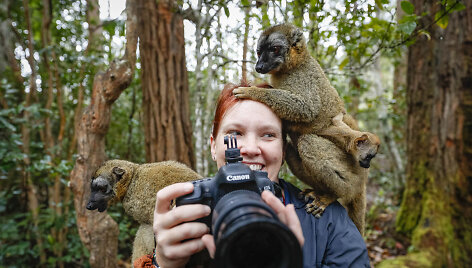 Madagaskaras