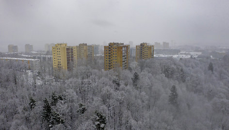 Vilnių nuklojo sniegas