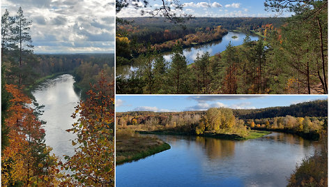 Neries slėnis rudenį