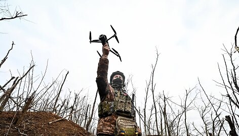 Ukrainos karys