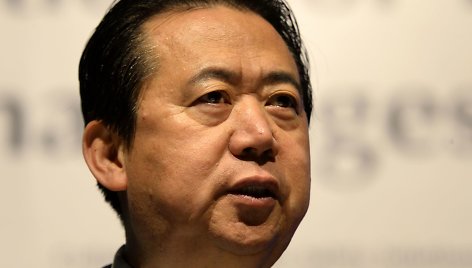 Meng Hongwei