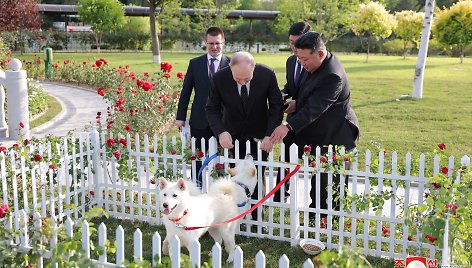 Vladimiras Putinas, Kim Jong Unas ir pungsanų veislės šunys