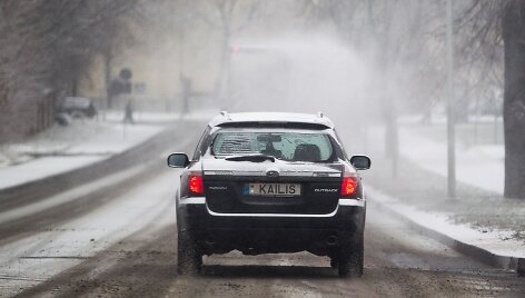 Žiemi&scaron;ki orai vis labiau įsitvirtina.