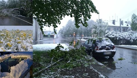 Sunku patikėti, kad Kėdainiai į gausią stichinių rei&scaron;kinių zoną nepatenka, kai gegužės 12-ąją laukuose čia buvo balta, rapsų ir kitų augalų laukai pasidengė sniegu, o medžiai virste virto.