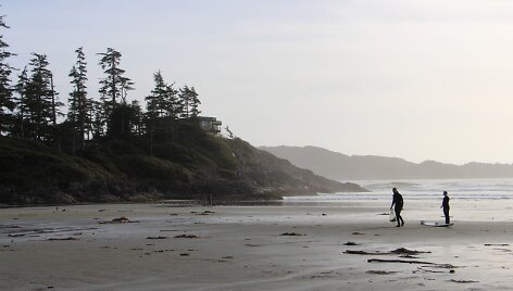 Plaukiojimas banglente lapkritį, Tofino