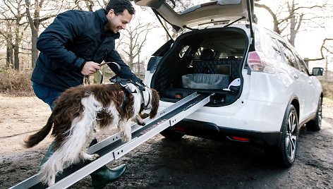 „Nissan X-Trail 4dogs“ koncepcija