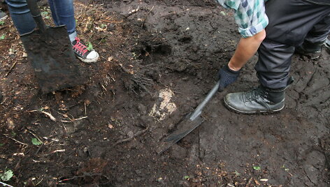 Archeologai Medvėgalio papėdėje aptiko kūlgrindą