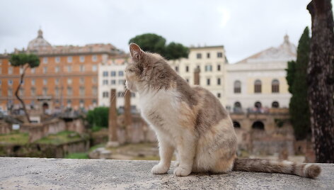 Largo di Torre Argentina