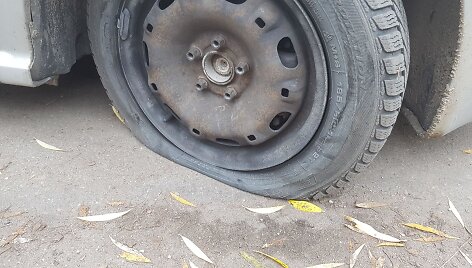 Alnos Katinaitės automobilis