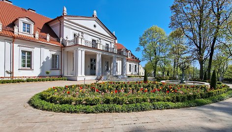 Tulpių žydėjimo metas