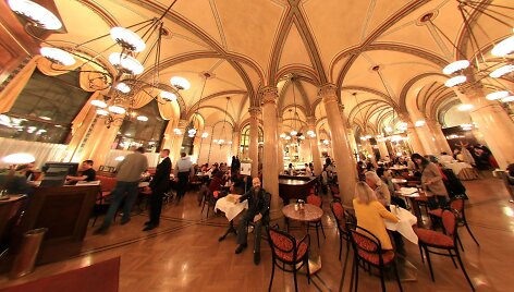 Viena