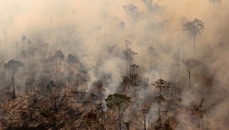 Sunki Brazilijos kova su nelegaliai kertamais miškais Amazonės džiunglėse