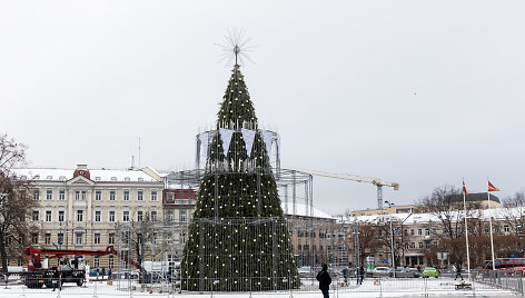Statoma šių metų Vilniaus Kalėdų eglė