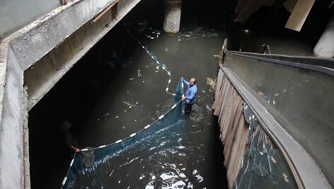 Bankoko apleistoje parduotuvėje gaudoma žuvis