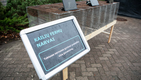 „Tušti narvai" organizuojama akcija „Kalbėk už gyvūnus"