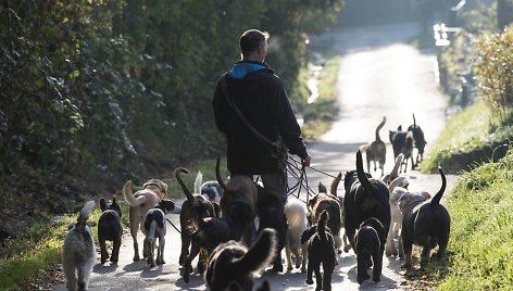 Šunų viešbutis Vokietijoje