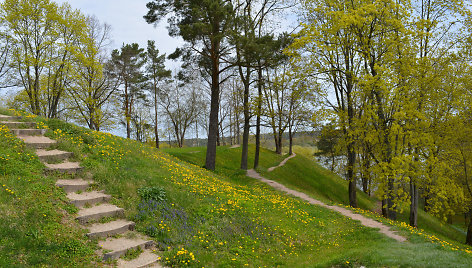 Sudargo piliakalniai (Šakių r.)