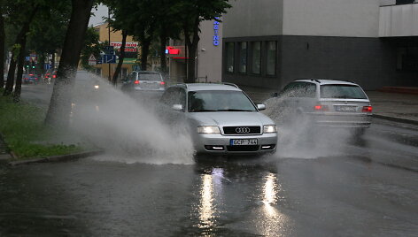 Liūtis &Scaron;iauliuose