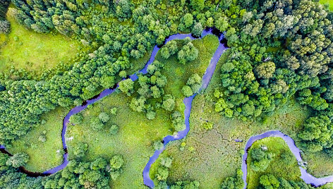 Auk&scaron;taitijos nacionalinis parkas ir Labanoro giria i&scaron; pauk&scaron;čio skrydžio