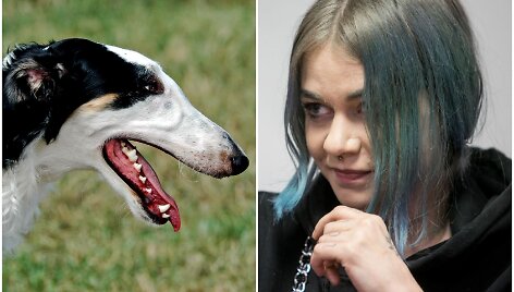Asociatyvi iliustracija: R.Jankauskaitė nesuvaldė medžioklėse naudojamo, vilkogaudžiu vadinamo &scaron;uns.
