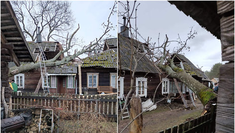 Grabijolų kaime nuvirtęs medis apgriovė namą