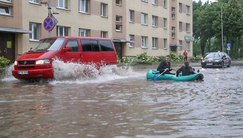 Liūtis Jurbarke