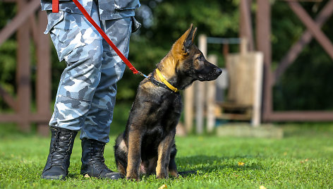 Policija pristatė būsimus tarnybinius šunis