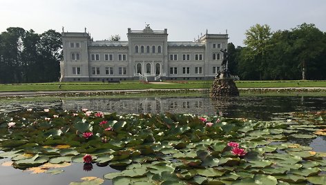 Plungės dvaro tvenkinyje išvysite ir retai matomų geltonų vandens lelijų