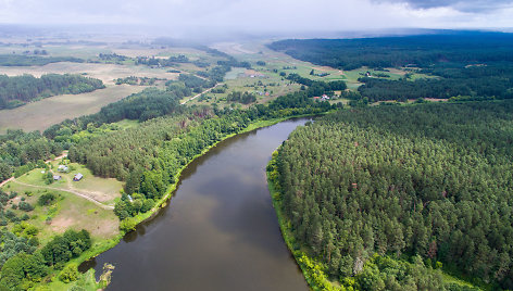 Nemuno vingis ties Druskininkų kaimu