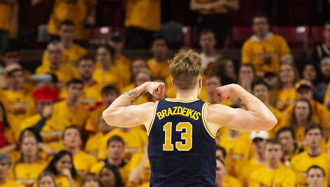 Ignas Brazdeikis
