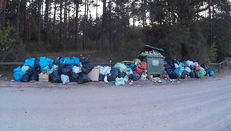 Lavyso ežero apylinkės