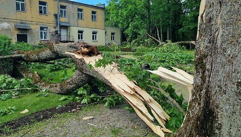 Viesulo nusiaubtas Antanavo dvaro parkas