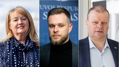 Vilija Blinkevičiūtė, Gabrielius Landsbergis, Saulius Skvernelis