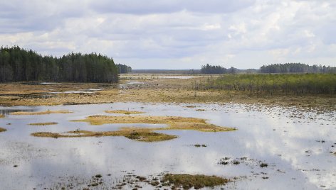 Čepkelių valstybiniame gamtiniame rezervate