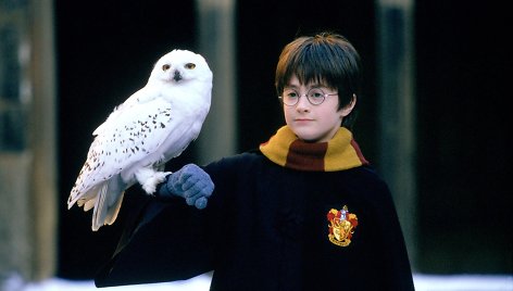 Danielis Radcliffe'as „Haris Poteris ir išminties akmuo“