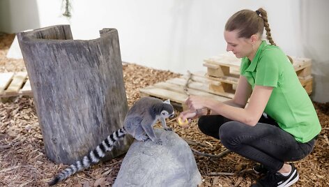 Vilniaus zoologijos sodas