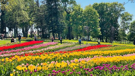 Pakruojo dvaro pavasario gėlių festivalis