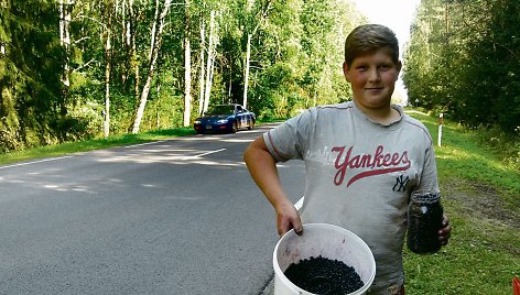 „Motorolerį spėsiu nusipirkti – susitaupysiu pinigų grybaudamas. Be to, mėlynių miške dar daug“, – šypsosi Dominykas.