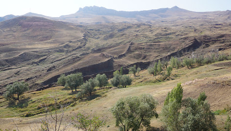 Doğubayazıt rajone (Turkija) archeoogai mano atradę Nojaus arką