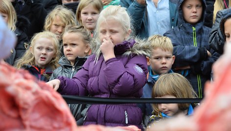 Danijos zoologijos sode skrodžiama liūtė