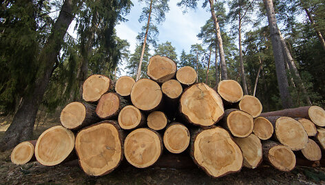 Kulautuvos bendruomenę neramina jau keletą metų gana gausiai  kertami mi&scaron;kai