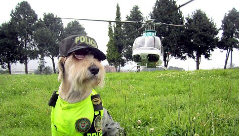 Bogotos policininkų priglaustas benamis &scaron;uo Azulas tapo pareigūnu