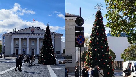 Vilniaus Rotušės aikštėje išdygo Kalėdų eglė – bus filmuojama reklama