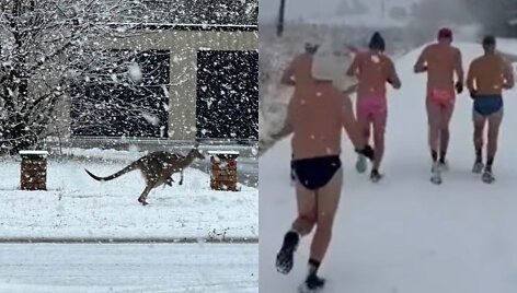 Sniegas Australijoje