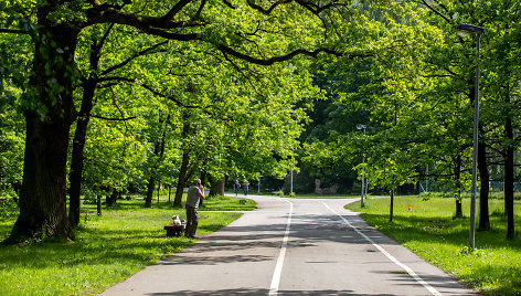 Kauno ąžuolyno parkas