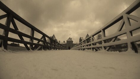 Trakų pilis