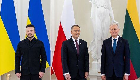 Volodymyras Zelenskis, Karolis Nawrockis, Gitanas Nausėda