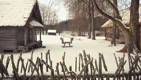 Kleboni&scaron;kių kaimas (Radvili&scaron;kio r.)