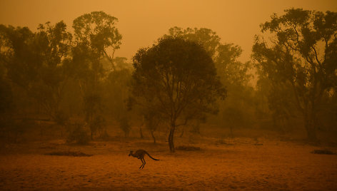 Gaisras Australijoje