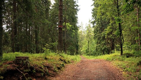 Takas aplink Vilnių